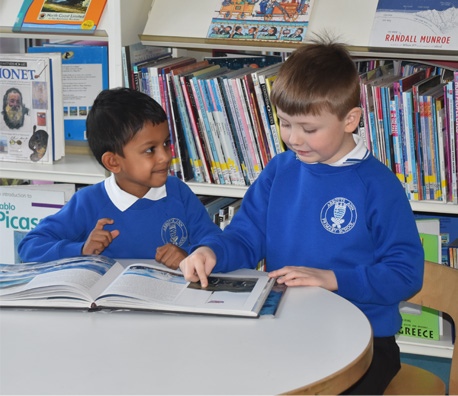 Curriculum